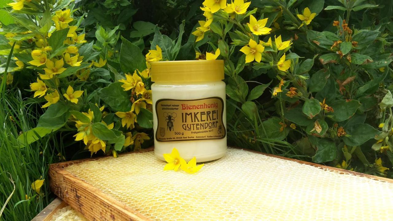 Fewo Gutendorf Bad Berka Ngoại thất bức ảnh